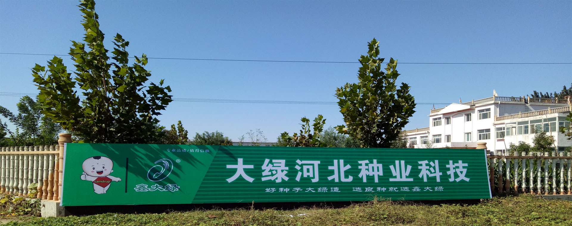 企業文化